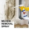 015BAF1CBAFDA64297CF3202CF9C6BED.jpg Multi-Use Stain Removal Spray