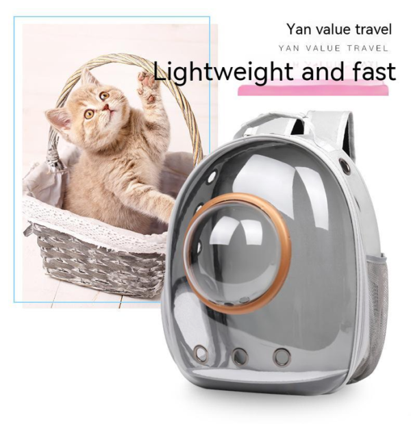 Outdoor Transparent Pet Backpack Carrier